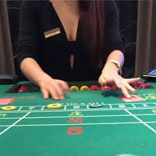 5gbet